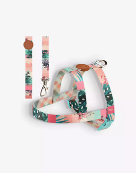 Conjunto Peitoral Tradicional e Guia Laguna